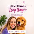 Little Things, Long Way